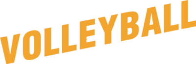 Volleyball logo for NES